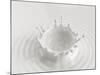 White Abstract Liquid Background, Milk Splash Crown, Paint Splashing, 3D Food Illustration-wacomka-Mounted Art Print
