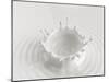 White Abstract Liquid Background, Milk Splash Crown, Paint Splashing, 3D Food Illustration-wacomka-Mounted Art Print