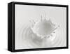 White Abstract Liquid Background, Milk Splash Crown, Paint Splashing, 3D Food Illustration-wacomka-Framed Stretched Canvas