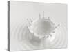 White Abstract Liquid Background, Milk Splash Crown, Paint Splashing, 3D Food Illustration-wacomka-Stretched Canvas