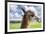 White Alpaca-BLFInk-Framed Photographic Print