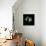 White Alstroemeria-Magda Indigo-Framed Stretched Canvas displayed on a wall