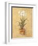 White Amaryllis II-Cheri Blum-Framed Art Print