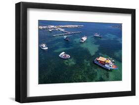 White and blue fishing boats in the water of Marzamemi harbour, Siracusa province-Paolo Graziosi-Framed Photographic Print