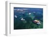 White and blue fishing boats in the water of Marzamemi harbour, Siracusa province-Paolo Graziosi-Framed Photographic Print