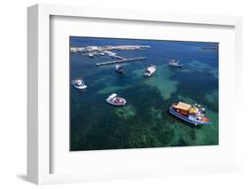 White and blue fishing boats in the water of Marzamemi harbour, Siracusa province-Paolo Graziosi-Framed Photographic Print