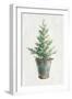 White and Bright Christmas Tree I-Danhui Nai-Framed Art Print