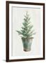 White and Bright Christmas Tree I-Danhui Nai-Framed Art Print