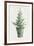 White and Bright Christmas Tree I-Danhui Nai-Framed Art Print