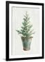 White and Bright Christmas Tree I-Danhui Nai-Framed Art Print