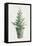 White and Bright Christmas Tree I-Danhui Nai-Framed Stretched Canvas