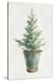 White and Bright Christmas Tree I-Danhui Nai-Stretched Canvas