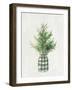 White and Bright Christmas Tree II Plaid-Danhui Nai-Framed Art Print