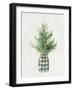 White and Bright Christmas Tree II Plaid-Danhui Nai-Framed Art Print