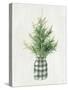 White and Bright Christmas Tree II Plaid-Danhui Nai-Stretched Canvas