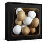 White and Brown Eggs in Basket-John Wilkes-Framed Stretched Canvas
