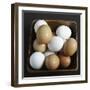 White and Brown Eggs in Basket-John Wilkes-Framed Photographic Print