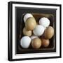 White and Brown Eggs in Basket-John Wilkes-Framed Photographic Print