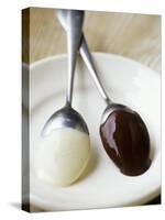 White and Dark Couverture on Spoons-Debi Treloar-Stretched Canvas