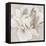White and Gold Peonia-Asia Jensen-Framed Stretched Canvas