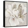 White and Gold Peonia-Asia Jensen-Framed Stretched Canvas