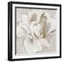 White and Gold Peonia-Asia Jensen-Framed Art Print