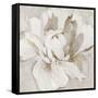 White and Gold Peonia-Asia Jensen-Framed Stretched Canvas