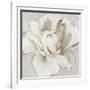 White and Gold Peonia-Asia Jensen-Framed Art Print