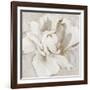 White and Gold Peonia-Asia Jensen-Framed Art Print