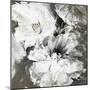 White and Gray Flowers-Design Fabrikken-Mounted Art Print