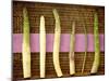 White and Green Asparagus Spears on Wicker Tray-null-Mounted Photographic Print