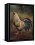 White And Green Rooster-Nenad Mirkovich-Framed Stretched Canvas