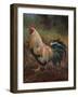 White And Green Rooster-Nenad Mirkovich-Framed Premium Giclee Print