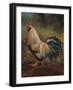 White And Green Rooster-Nenad Mirkovich-Framed Premium Giclee Print