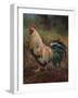 White And Green Rooster-Nenad Mirkovich-Framed Premium Giclee Print