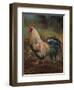 White And Green Rooster-Nenad Mirkovich-Framed Art Print