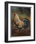 White And Green Rooster-Nenad Mirkovich-Framed Art Print