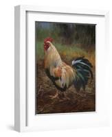 White And Green Rooster-Nenad Mirkovich-Framed Art Print