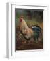 White And Green Rooster-Nenad Mirkovich-Framed Art Print