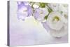 White and Lilac Flowers in a Vase-egal-Stretched Canvas