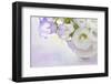 White and Lilac Flowers in a Vase-egal-Framed Photographic Print