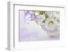 White and Lilac Flowers in a Vase-egal-Framed Photographic Print