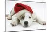 White-And-Merle Border Collie-Cross Puppy, 14 Weeks, Wearing a Father Christmas Hat, Lying Down-Mark Taylor-Mounted Photographic Print