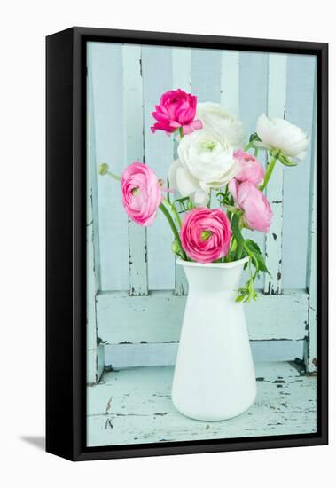 White and Pink Ranunculus Flowers-Anna-Mari West-Framed Stretched Canvas