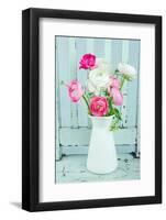 White and Pink Ranunculus Flowers-Anna-Mari West-Framed Photographic Print