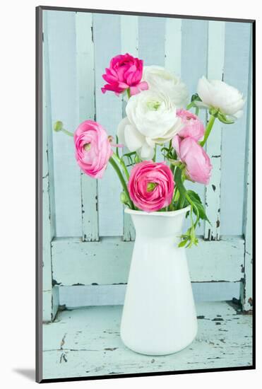 White and Pink Ranunculus Flowers-Anna-Mari West-Mounted Photographic Print