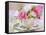 White and Pink Roses and Heather in a Cup-Friedrich Strauss-Framed Stretched Canvas