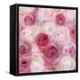 White and Pink Roses-li bo-Framed Stretched Canvas