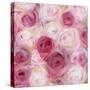 White and Pink Roses-li bo-Stretched Canvas
