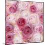 White and Pink Roses-li bo-Mounted Giclee Print